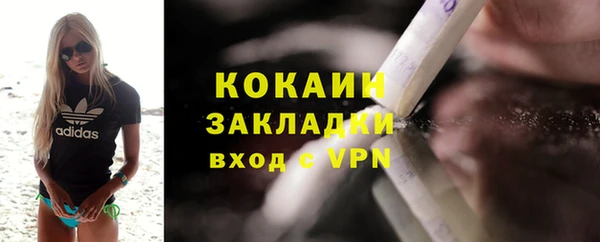 PSILOCYBIN Михайлов