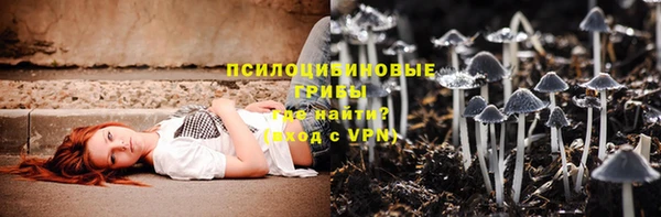 PSILOCYBIN Михайлов