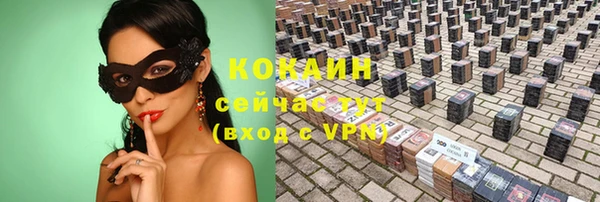 PSILOCYBIN Михайлов