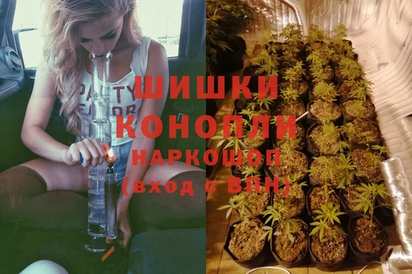PSILOCYBIN Михайлов